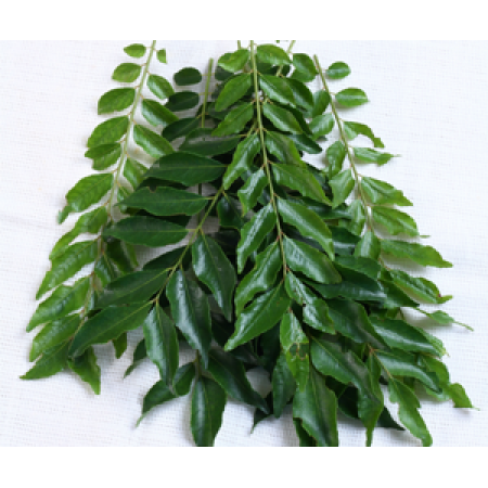 CURRY LEAVES